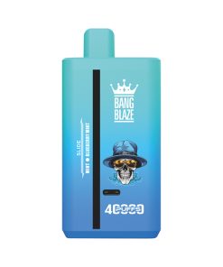 Bang Blaze 40K Dual sabores menta arándano