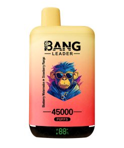 Bang Leader sabores duales 45000 Puffs Sandía arándano