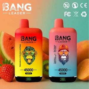 Bang Leader dual flavors 45000 Puffs monkey vape