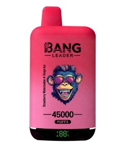 Bang Leader sabores duales 45000 Puffs sandía fresa