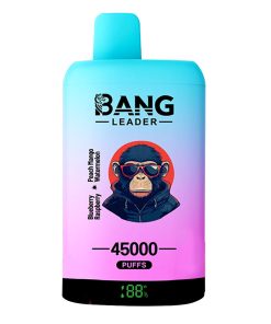 Bang Leader doble sabor 45000 Puffs sandía fresa