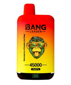 Bang Leader doble sabor 45000 Puffs sandía fresa mango