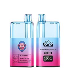 Bang Vape Recargable 40K Puffs Sandía Arándano