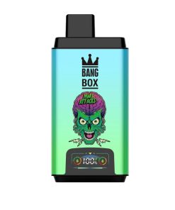 Bang Box 50000 boccate di vapore monouso a doppio gusto Mirtillo Ghiaccio