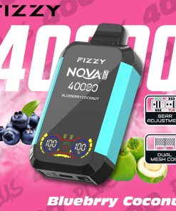 Fizzy 40K puff Nova Plus Dual Mesh Disposable Vape Whosesale blueberry coconut