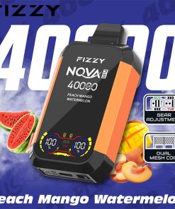 Fizzy 40K puff Nova Plus Dual Mesh Disposable Vape Whosesale peach mango watermelon