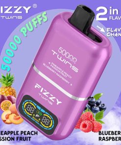 Fizzy Twins 50K Puffs Dual Flavors Disposable Vape Wholesale pineapple peach passion