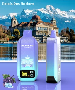 Bang King City Vape 50000 Puffs HD Display Disposable Vape 1